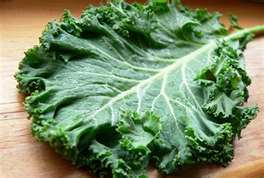 Kale Chips | Keamy Eye & Laser Centre | Westborough MA